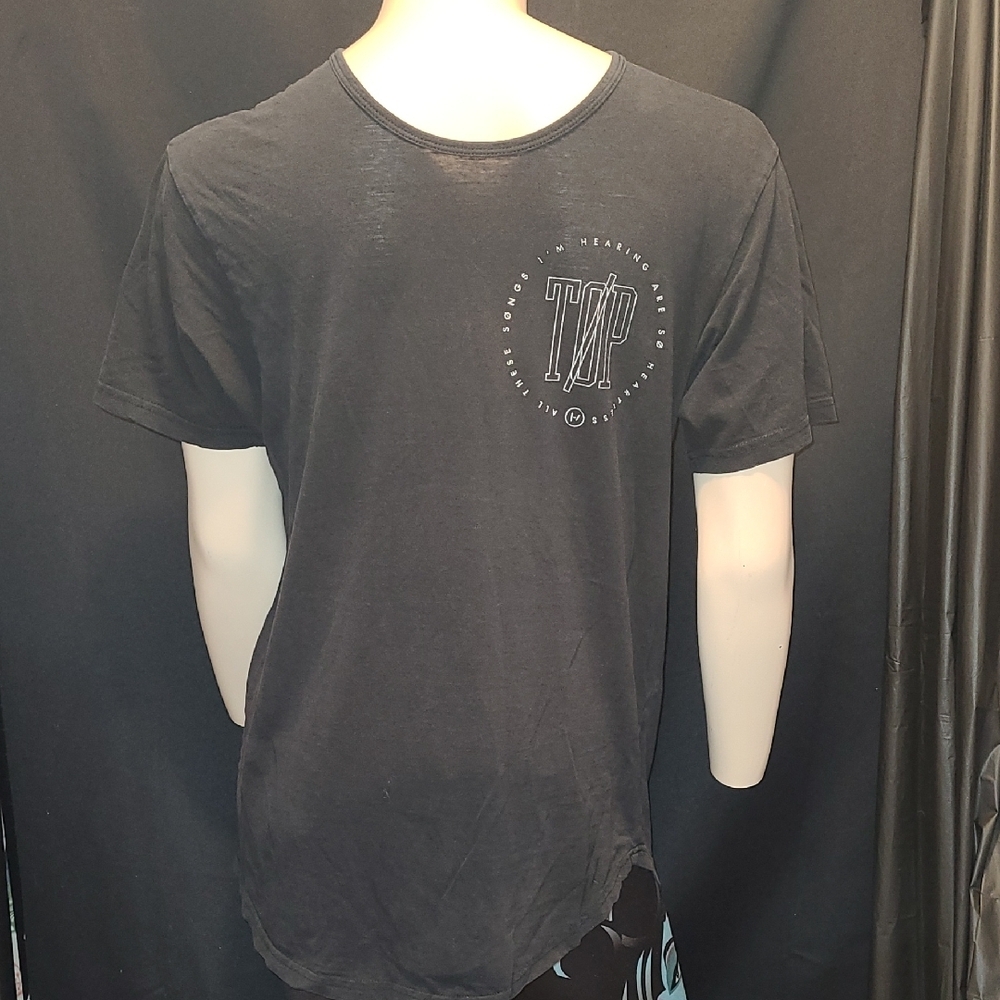 Twenty One Pilots Don't Trust a Song That's Flawless T Shirt Men Med
